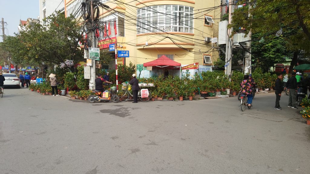 Một góc bán đào quất ngày tết tại Hải Phòng