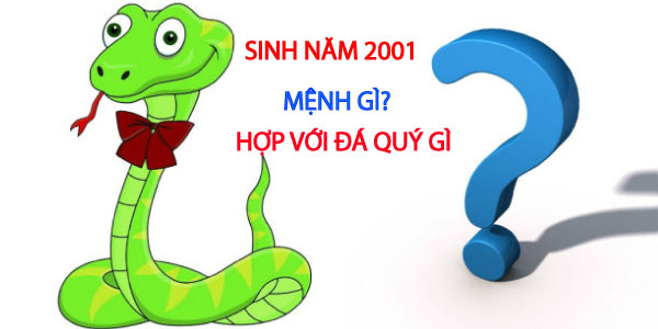 Sinh năm 2001 mệnh gì, hợp màu gì?