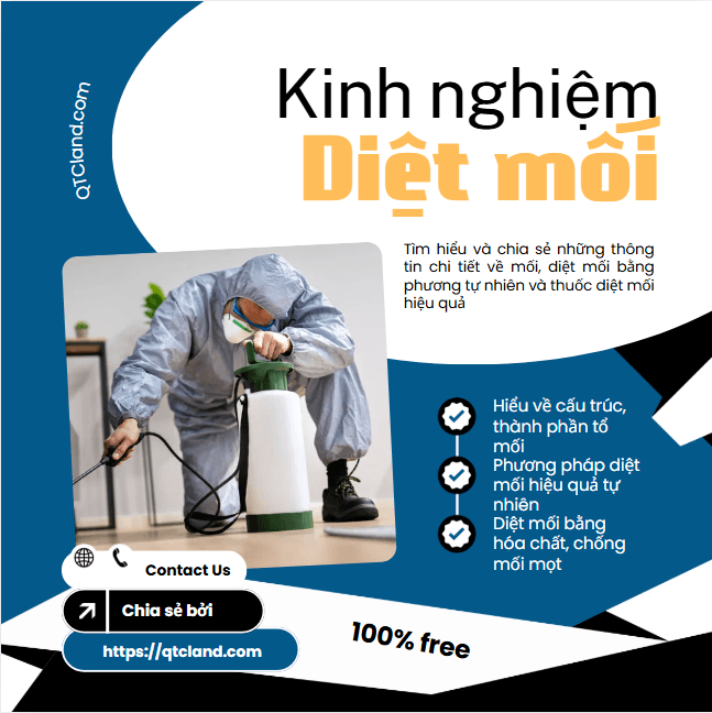 Phương pháp diệt mối hiệu quả