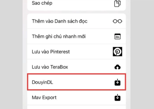 DouyinDL
