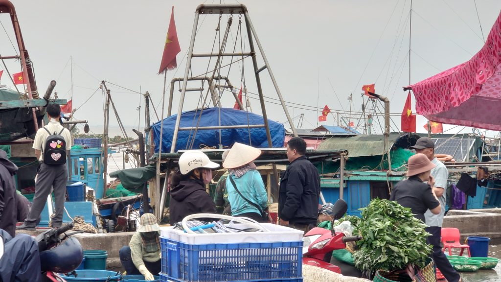 Chợ cảng cá Ngọc Hải, Đồ Sơn, Hải Phòng